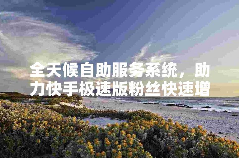 全天候自助服务系统，助力快手极速版粉丝快速增长。