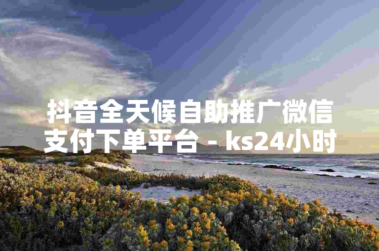 抖音全天候自助推广微信支付下单平台 - ks24小时自助服务系统。