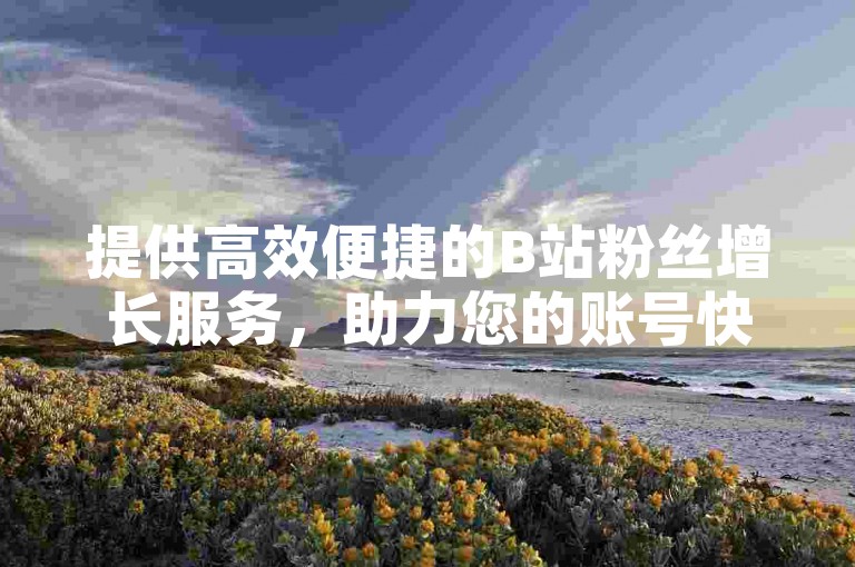 提供高效便捷的B站粉丝增长服务，助力您的账号快速获得关注。