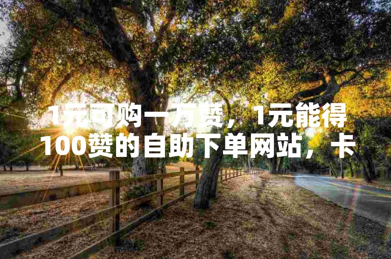 1元可购一万赞，1元能得100赞的自助下单网站，卡盟提供低价自助服务。