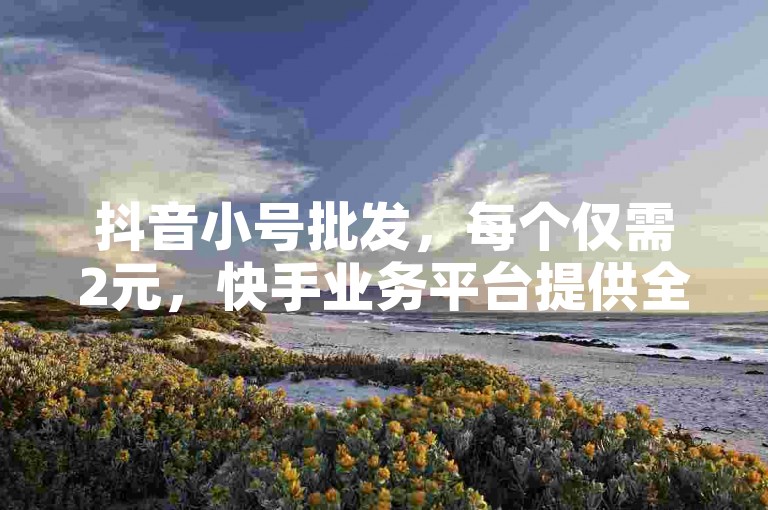 抖音小号批发，每个仅需2元，快手业务平台提供全网最优惠价格。