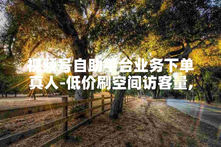 视频号自助平台业务下单真人-低价刷空间访客量,快手1元1000赞秒到