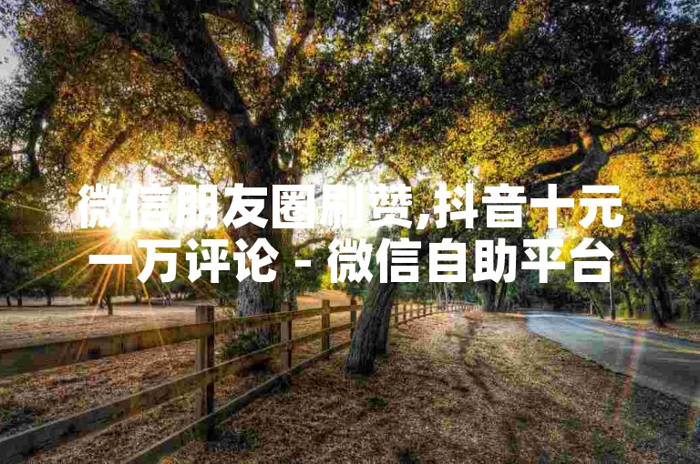 微信朋友圈刷赞,抖音十元一万评论 - 微信自助平台行业领先 - 付费评论