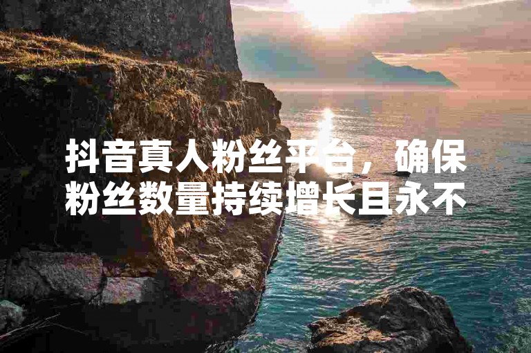 抖音真人粉丝平台，确保粉丝数量持续增长且永不减少。