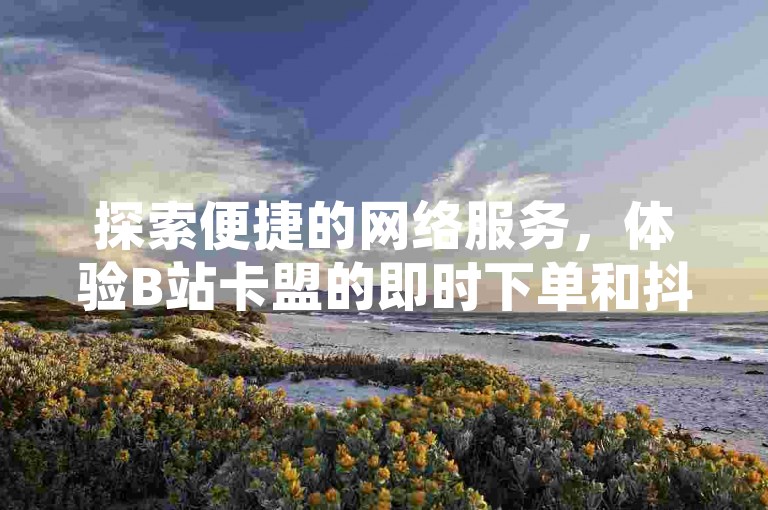 探索便捷的网络服务，体验B站卡盟的即时下单和抖音业务快速到账的魅力。