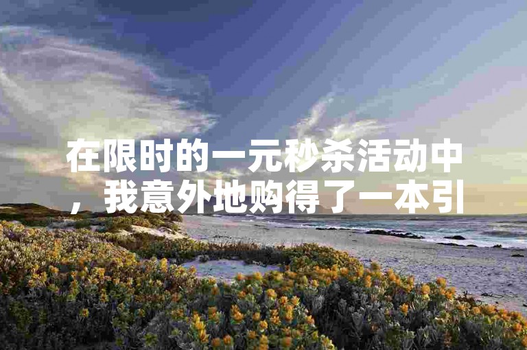 在限时的一元秒杀活动中，我意外地购得了一本引人入胜的小说。
