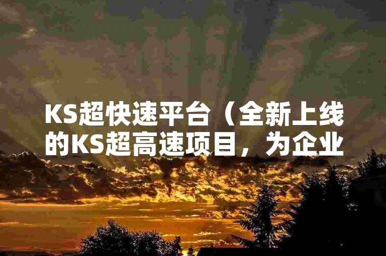 KS超快速平台（全新上线的KS超高速项目，为企业快速发展提供强大助力）