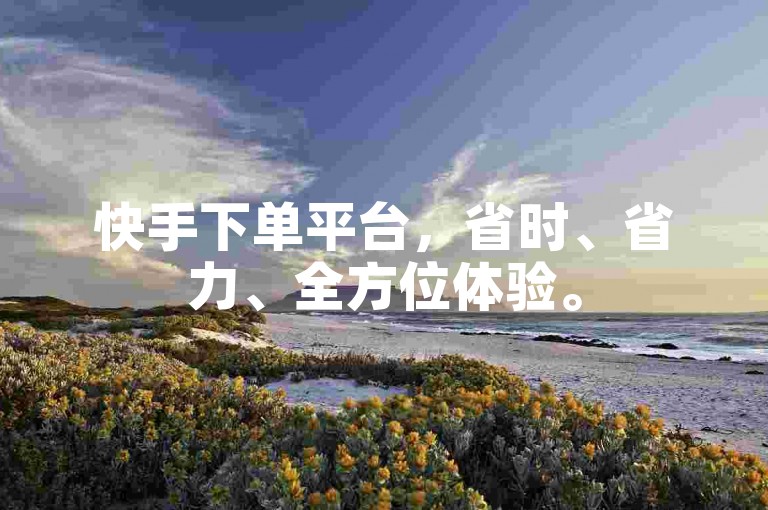 快手下单平台，省时、省力、全方位体验。