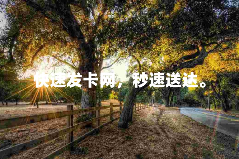 快速发卡网，秒速送达。