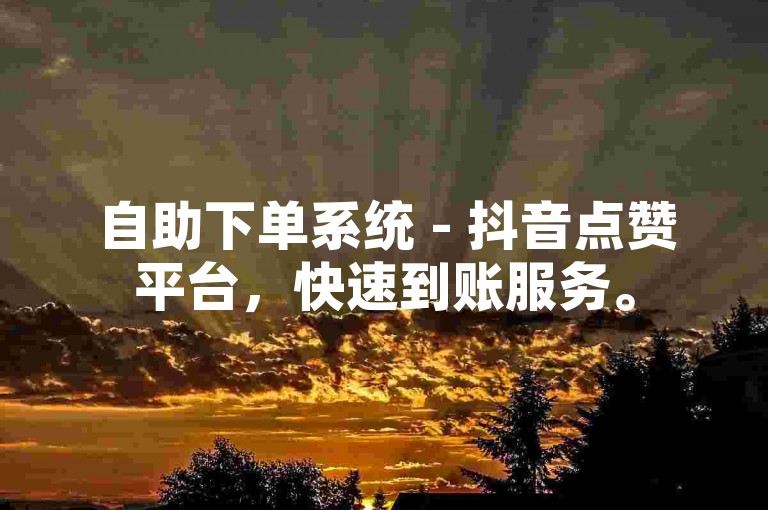 自助下单系统 - 抖音点赞平台，快速到账服务。