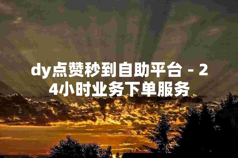 dy点赞秒到自助平台 - 24小时业务下单服务