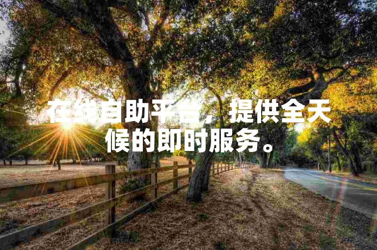 在线自助平台，提供全天候的即时服务。