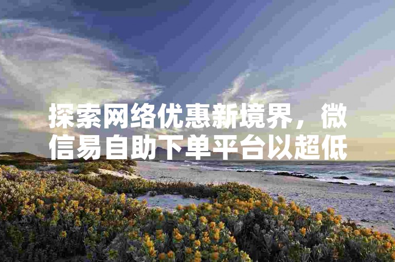 探索网络优惠新境界，微信易自助下单平台以超低价格引领代涨服务潮流。
