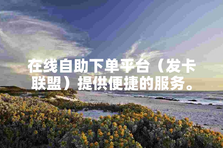 在线自助下单平台（发卡联盟）提供便捷的服务。