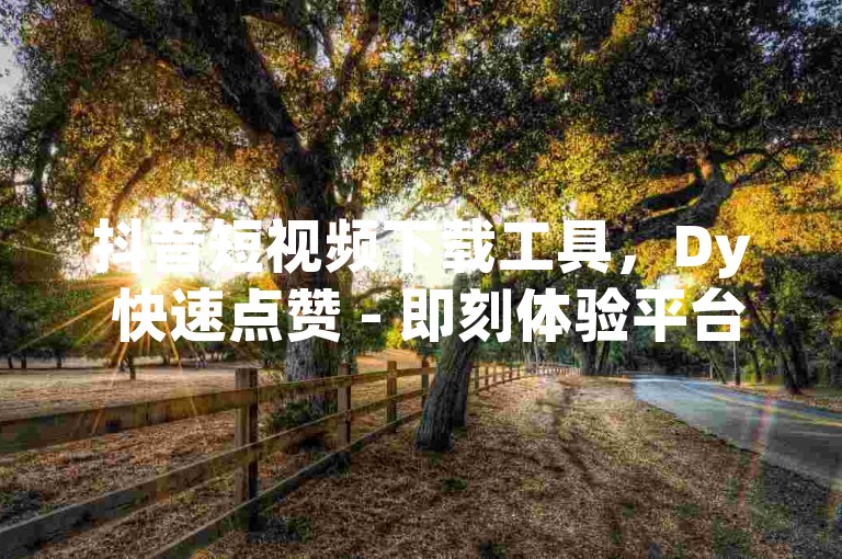 抖音短视频下载工具，Dy 快速点赞 - 即刻体验平台优选 - 卡盟自动下单ks