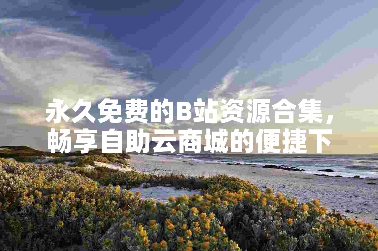 永久免费的B站资源合集，畅享自助云商城的便捷下载服务。