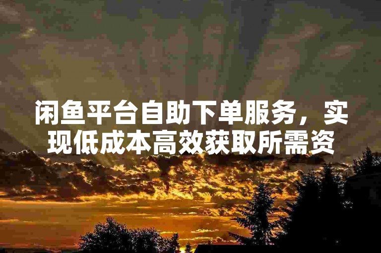 闲鱼平台自助下单服务，实现低成本高效获取所需资源的优选途径。