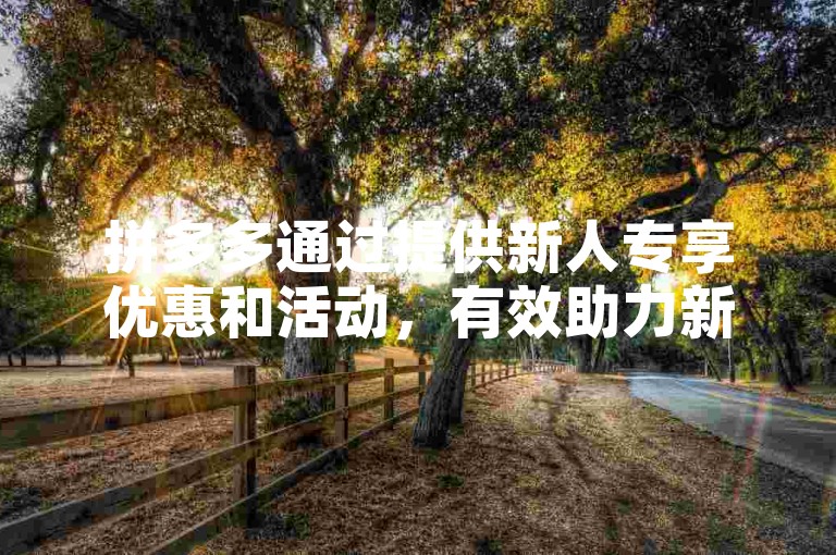 拼多多通过提供新人专享优惠和活动，有效助力新用户快速融入平台并享受购物乐趣。