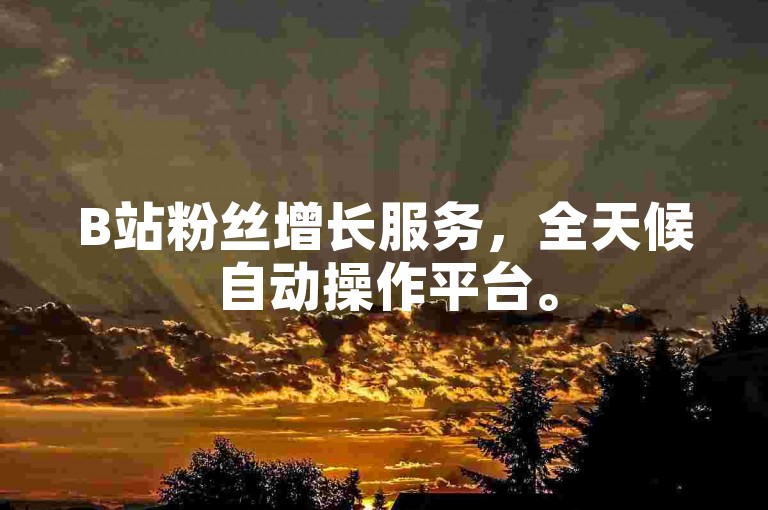 B站粉丝增长服务，全天候自动操作平台。