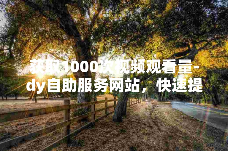 获取1000次视频观看量-dy自助服务网站，快速提升播放次数。