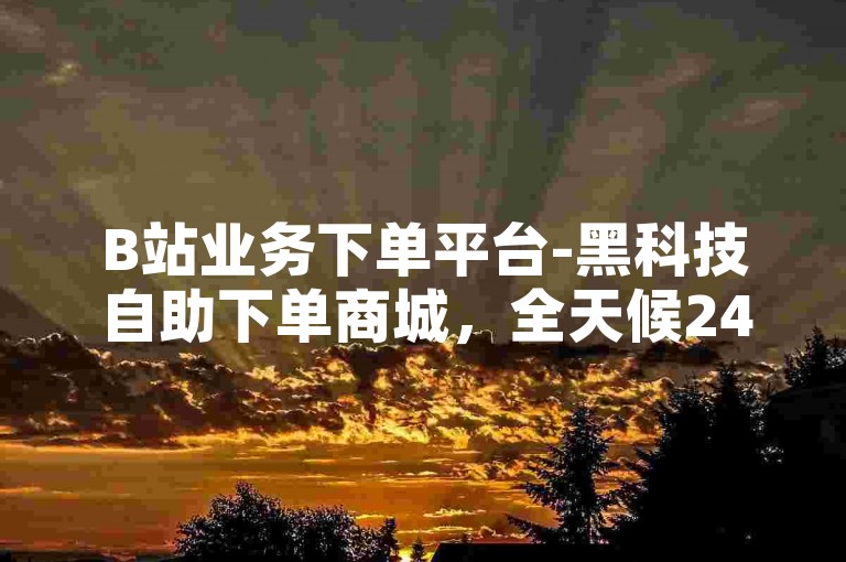 B站业务下单平台-黑科技自助下单商城，全天候24小时提供最经济实惠的自助服务。