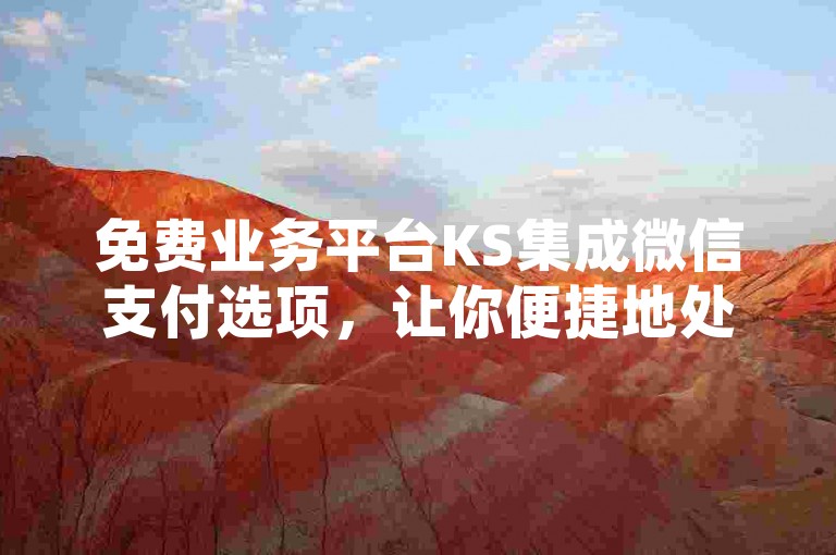 免费业务平台KS集成微信支付选项，让你便捷地处理网络交易。