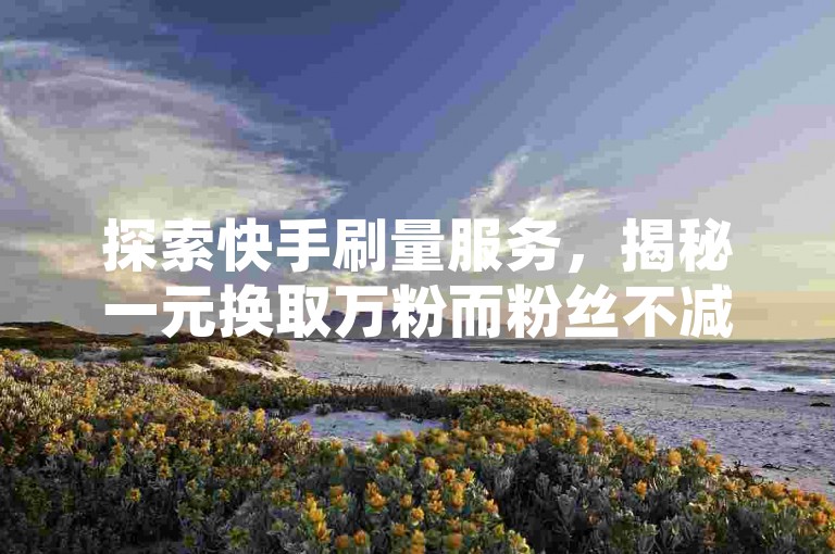探索快手刷量服务，揭秘一元换取万粉而粉丝不减的奥秘 - 抖音全天候业务支持平台 - QQ空间访客量提升服务。