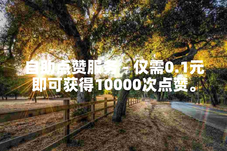 自助点赞服务 - 仅需0.1元即可获得10000次点赞。