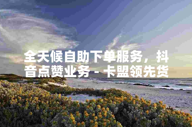 全天候自助下单服务，抖音点赞业务 - 卡盟领先货源平台 - 仅需1元即可获得100赞。