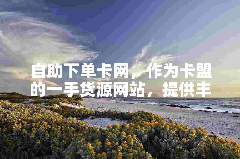 自助下单卡网，作为卡盟的一手货源网站，提供丰富的选择和便捷的服务。