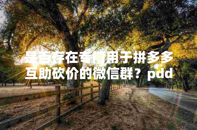 是否存在专门用于拼多多互助砍价的微信群？pdd砍价交流群