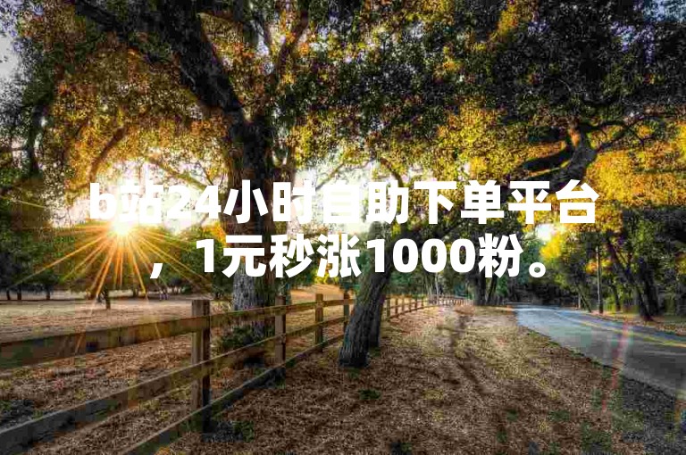 b站24小时自助下单平台，1元秒涨1000粉。