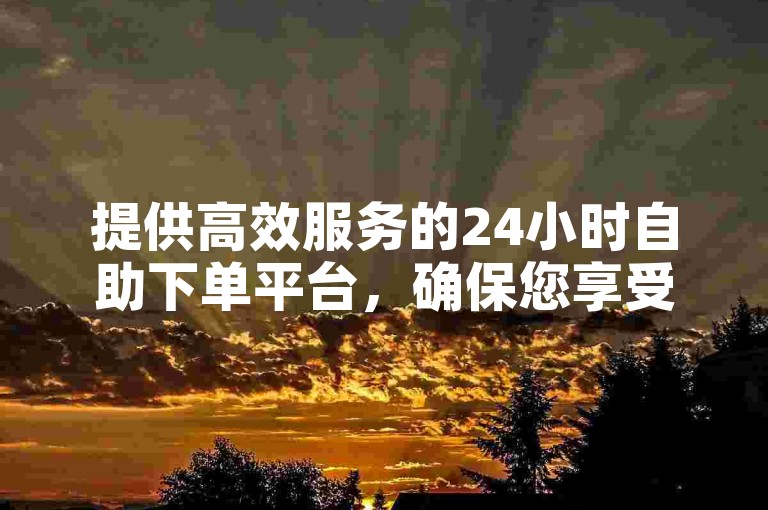 提供高效服务的24小时自助下单平台，确保您享受到全网最具竞争力的价格。