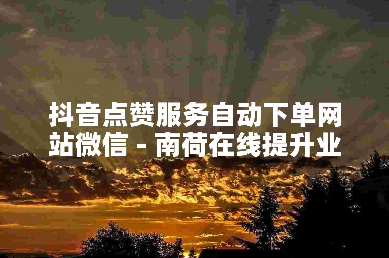 抖音点赞服务自动下单网站微信 - 南荷在线提升业务平台