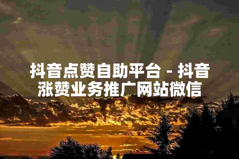 抖音点赞自助平台 - 抖音涨赞业务推广网站微信