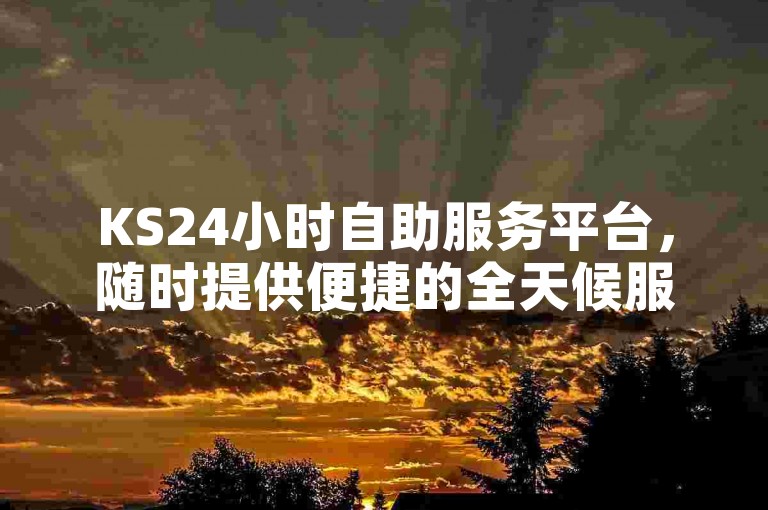 KS24小时自助服务平台，随时提供便捷的全天候服务。