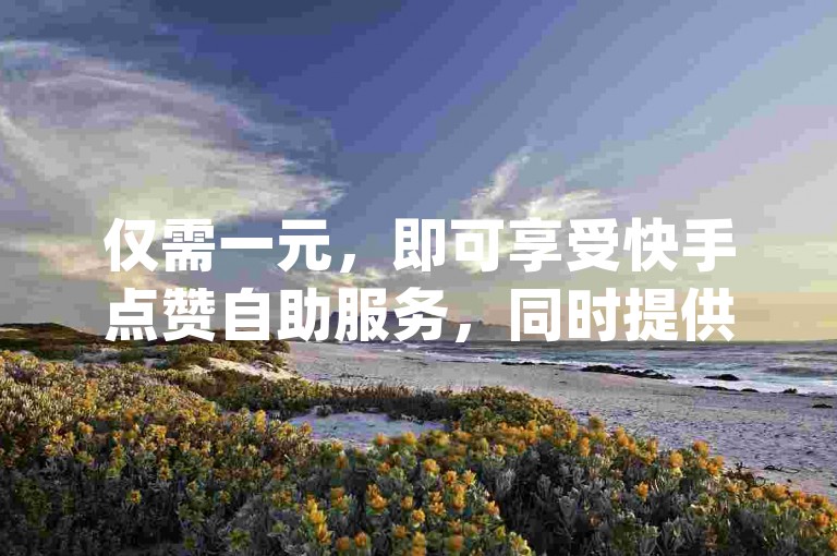 仅需一元，即可享受快手点赞自助服务，同时提供一万qq空间访客量。