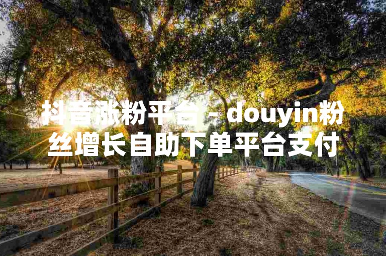 抖音涨粉平台 - douyin粉丝增长自助下单平台支付宝支付。