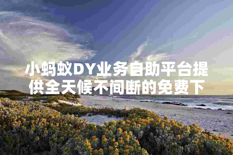 小蚂蚁DY业务自助平台提供全天候不间断的免费下单服务。