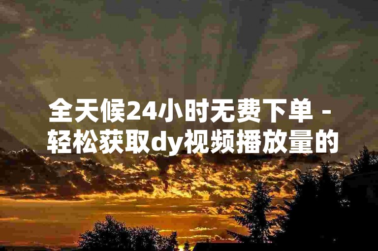 全天候24小时无费下单 - 轻松获取dy视频播放量的平台，小林代刷网提供dy经济实惠的刷量服务网站。