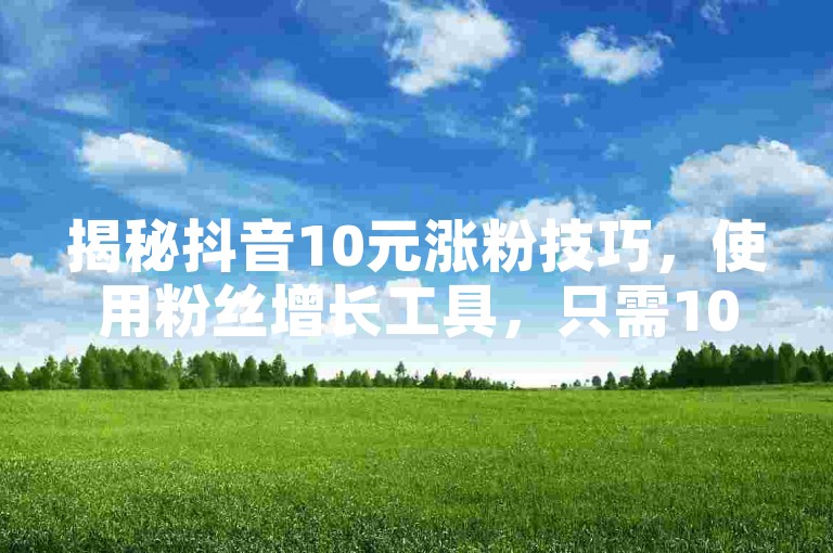 揭秘抖音10元涨粉技巧，使用粉丝增长工具，只需10元，快速增加粉丝！2024年必备技能。
