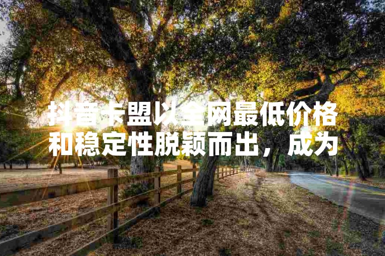 抖音卡盟以全网最低价格和稳定性脱颖而出，成为2024年必备的优选平台！