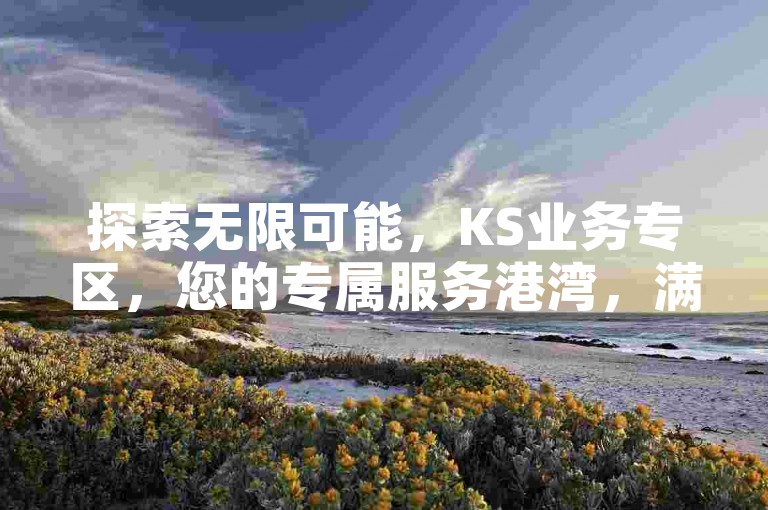 探索无限可能，KS业务专区，您的专属服务港湾，满足一切需求！
