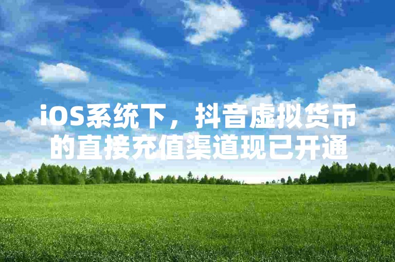 iOS系统下，抖音虚拟货币的直接充值渠道现已开通。
