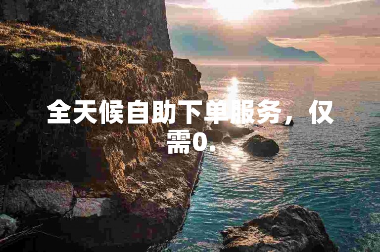 全天候自助下单服务，仅需0.5元即可获得1000赞的便捷平台。