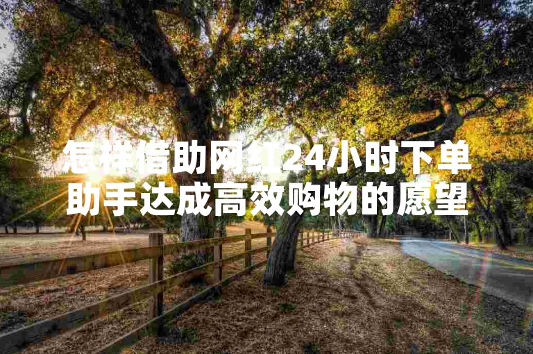 怎样借助网红24小时下单助手达成高效购物的愿望？