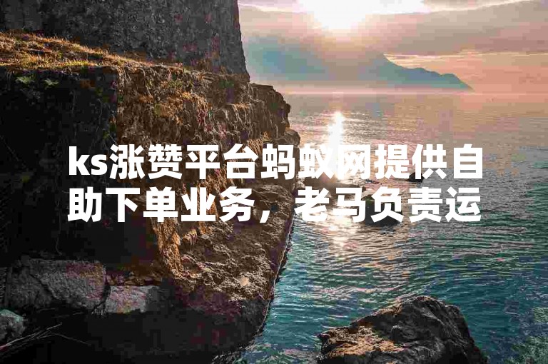 ks涨赞平台蚂蚁网提供自助下单业务，老马负责运营。
