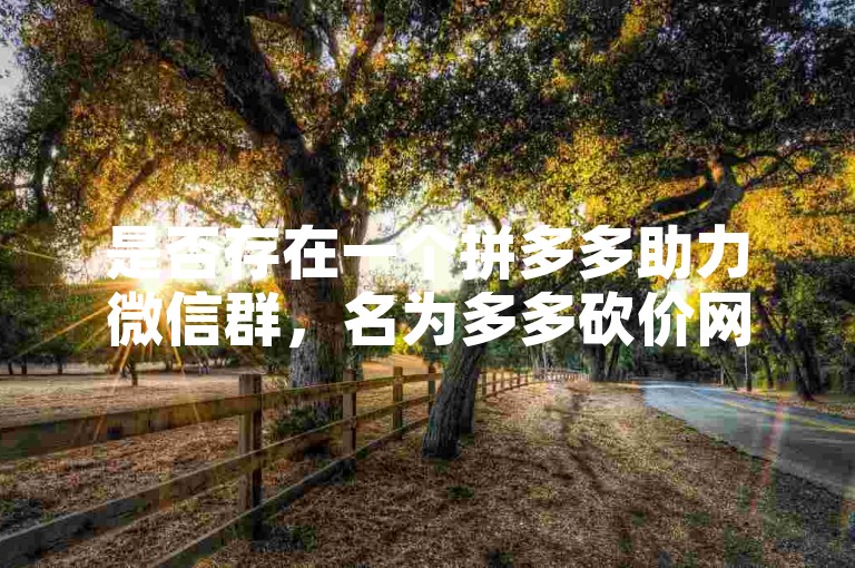 是否存在一个拼多多助力微信群，名为多多砍价网站？