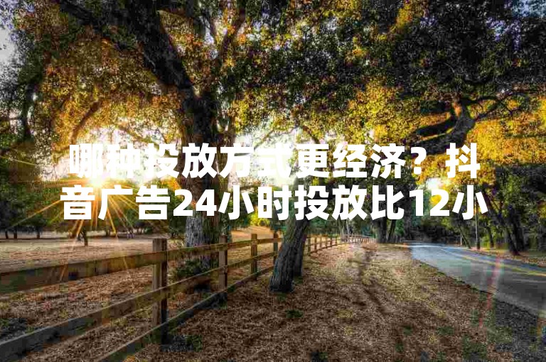 哪种投放方式更经济？抖音广告24小时投放比12小时投放更划算。