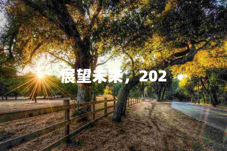 展望未来，2025年拼多多互助团将展现出巨大的潜力与无限的可能性。
